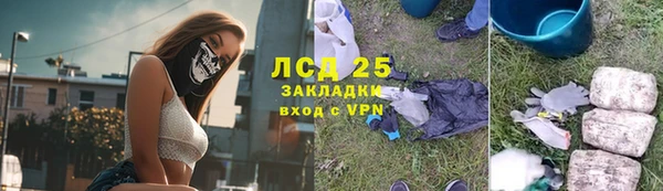 трава Медвежьегорск