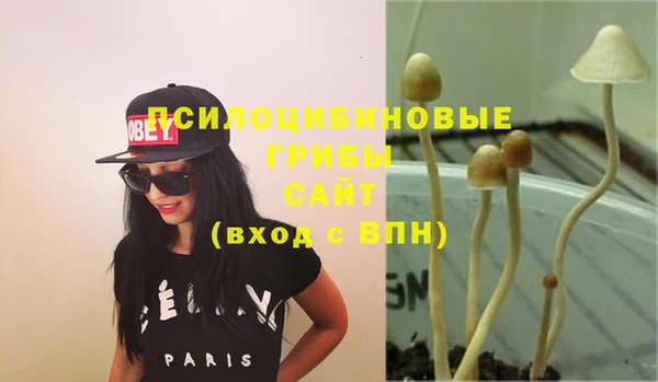 мдма Михайлов