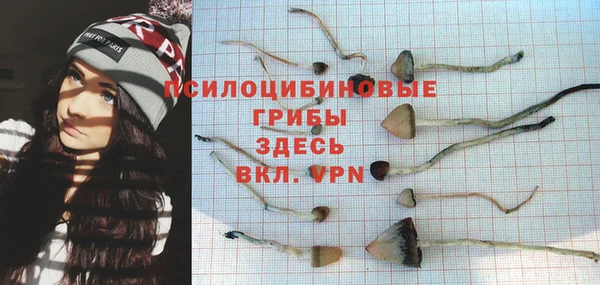 трава Медвежьегорск