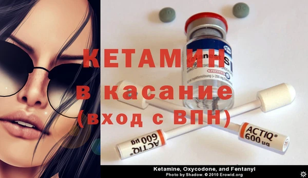 трава Медвежьегорск
