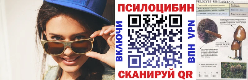 Псилоцибиновые грибы ЛСД  Купить  Сретенск 